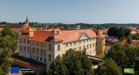 Grad Slovenska Bistrica